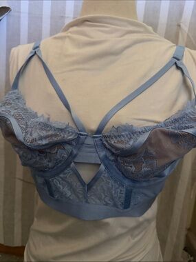 torrid Lace Bralette in Light Blue